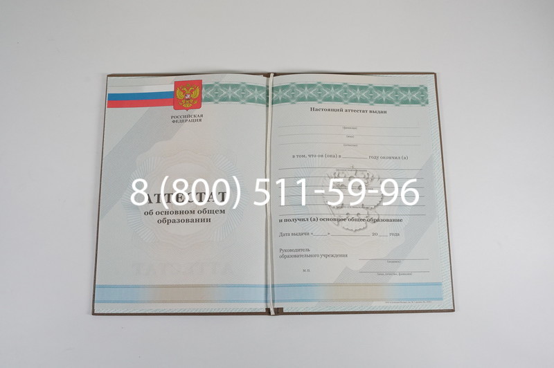 Аттестат за 9 класс 2011-2013 годов в Химках