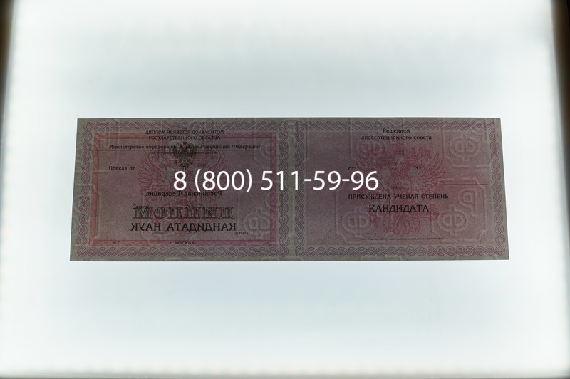 Заказать Диплом кандидата наук 2010 в Химках