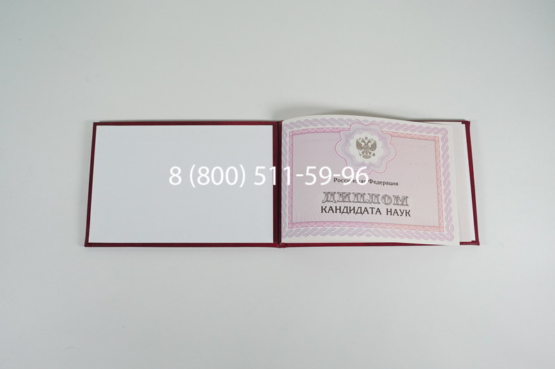 Заказать Диплом кандидата наук 2010 в Химках